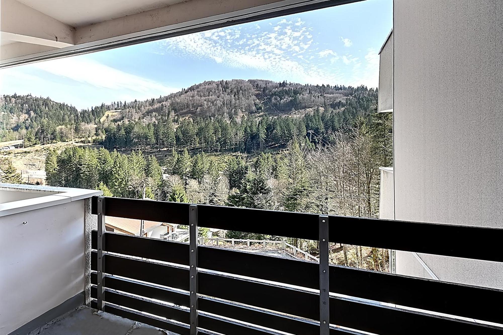 拉布雷斯Le Cocoon - Appt Vue Montagne公寓 外观 照片